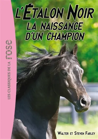 L'étalon noir. Vol. 19. La naissance d'un champion