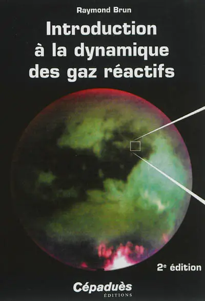 Introduction à la dynamique des gaz réactifs