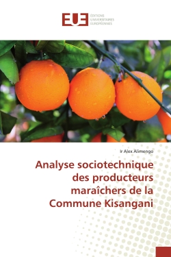 Analyse sociotechnique des...