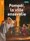 Pompéi, la ville ensevelie, cycles 2 et 3 : niveau de lecture 3