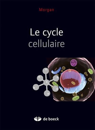 Le cycle cellulaire