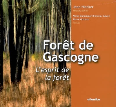Forêt de Gascogne, l'esprit de la forêt : le plus grand massif forestier d'Europe