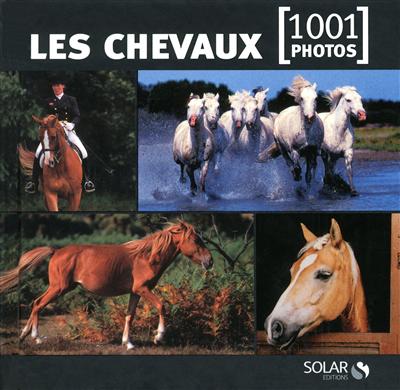 Les chevaux 1001 photos