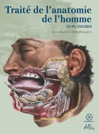 Traité de l'anatomie de l'homme. Vol. 5. Planches