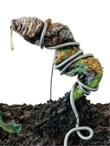 Tetsumi Kudo Retrospective