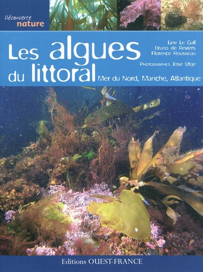 Les algues du littoral