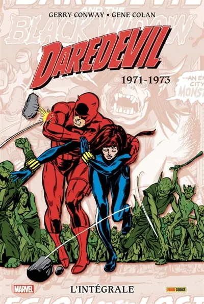 Daredevil : l'intégrale. Vol. 8. 1971-1973
