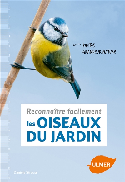 Reconnaître facilement les oiseuax du jardin