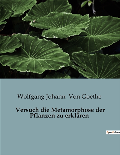 Versuch die Metamorphose...