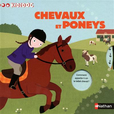 kididoc chevaux et poneys