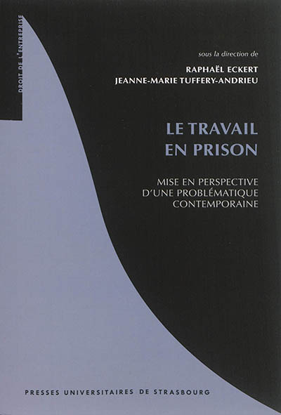 Le travail en prison : mise en perspective d'une problématique contemporaine