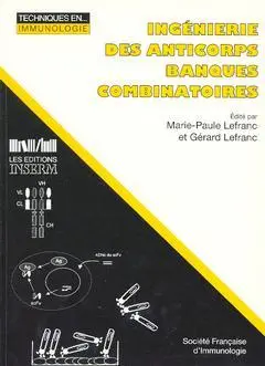 Ingénierie des anticorps, banques combinatoires