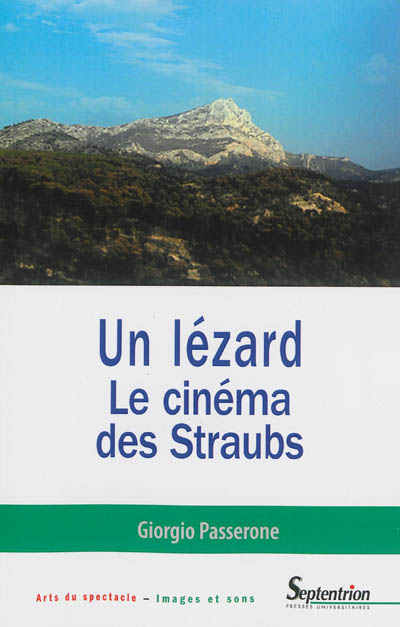 Un lézard : le cinéma des Straubs