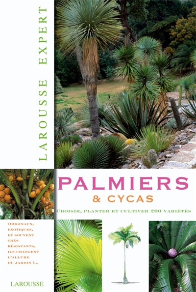Palmiers & cycas : choisir, planter et cultiver 200 variétés