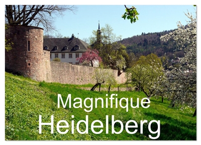 Magnifique Heidelberg...