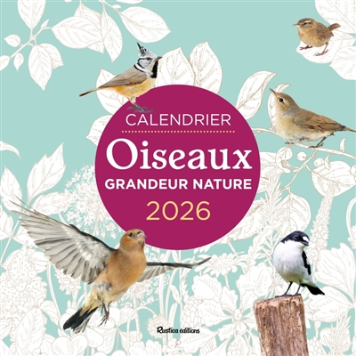 Oiseaux grandeur nature : calendrier 2026