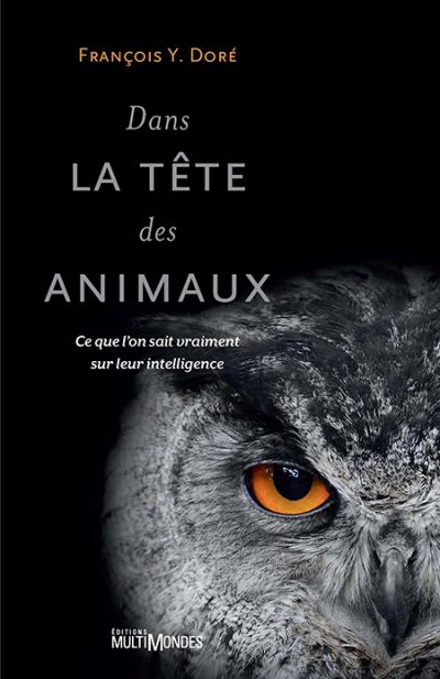 Dans la tête des animaux : ce que l'on sait vraiment sur leur intelligence