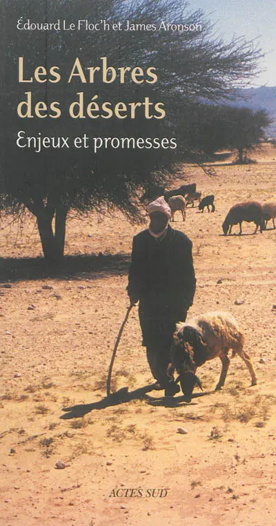 Les arbres des déserts : enjeux et promesses