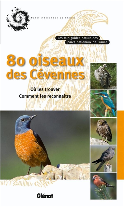 80 oiseaux des Cévennes : où les trouver, comment les reconnaître