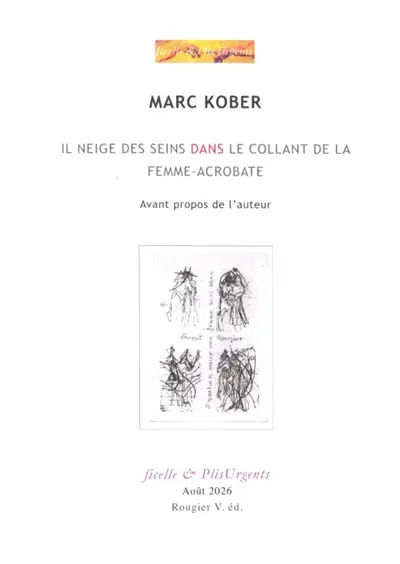 Il neige des seins dans le collant de la femme-acrobate