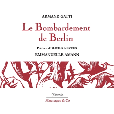 le bombardement de berlin