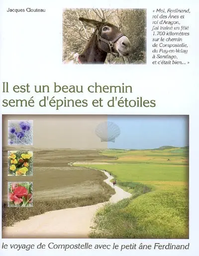 Il est un beau chemin semé d'épines et d'étoiles