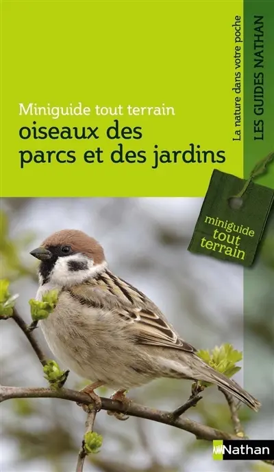 Oiseaux des parcs et des jardins