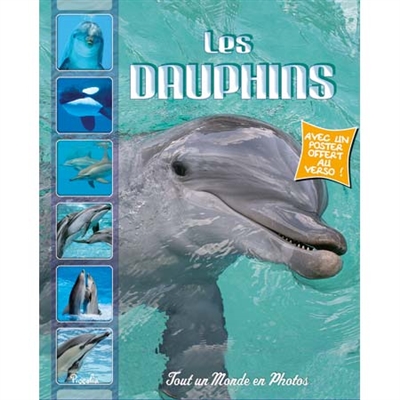 Les dauphins (mater)