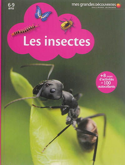 Mes grandes découvertes : Les insectes