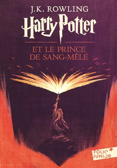 Harry Potter. Vol. 6. Harry Potter et le prince de Sang-Mêlé