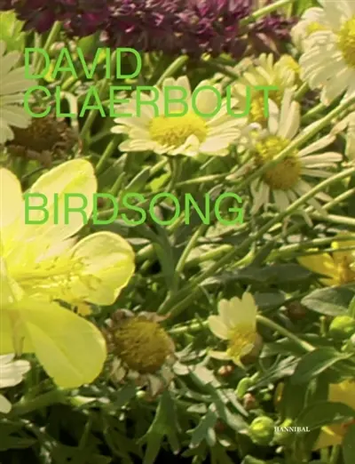 Birdsong