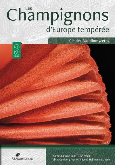 Les champignons d'Europe tempérée. Vol. 3. Clé des basidiomycètes