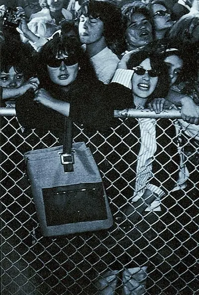 Dictionnaire du rock : blues, country, folk, pop, reggae, rock indépendant, soul