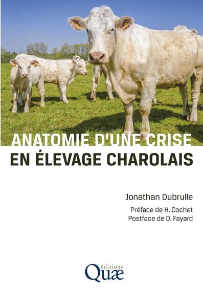 Anatomie d'une crise en élevage charolais
