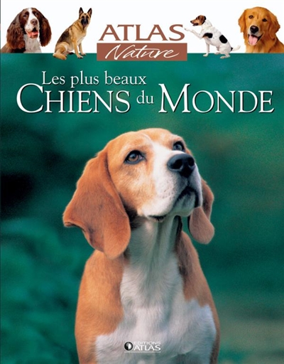 Les plus beaux chiens du monde