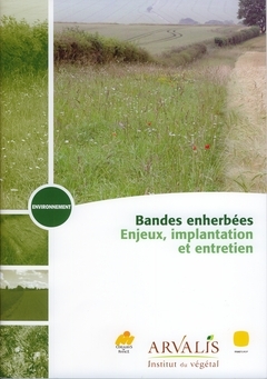 Bandes enherbées : enjeux, implantation et entretien