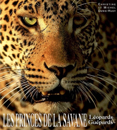 Les princes de la savane : léopards et guépards