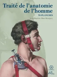 Traité de l'anatomie de l'homme. Vol. 6. Planches