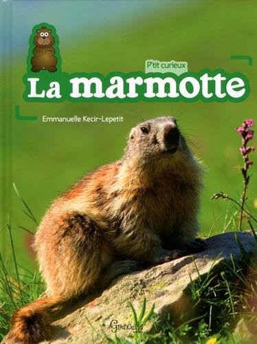 La marmotte