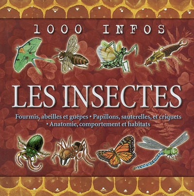 Les insectes : fourmis, abeilles et guêpes, papillons, sauterelles, et criquets, anatomie, comportements et habitats