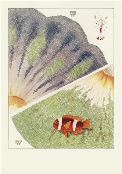 La grande barrière de corail : carnet