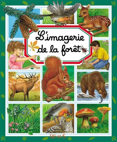 L'imagerie de la forêt