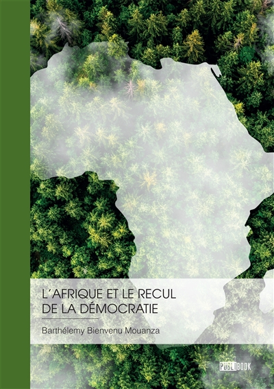 L'Afrique et le recul de la démocratie : Responsabilité africaine ou influence des grandes puissances ?