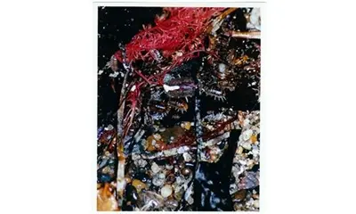 Rebekka Deubner Tempête après tempête