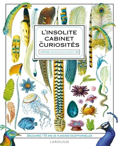 Insolite cabinet de curiosité