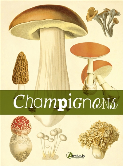 Champignons de France et d'Europe occidentale de Marcel Bon - Editions  Flammarion