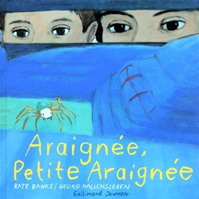 Araignée, petite araignée