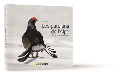 Les gardiens de l'Alpe : tétras-lyre, bartavelle et lagopède