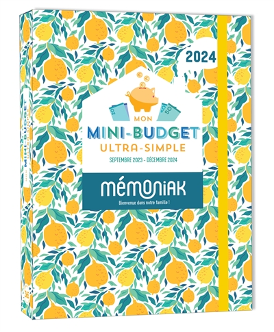 Mon mini-budget ultra-simple 2024 : de septembre 2023 à décembre 2024