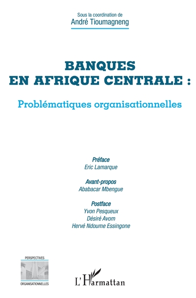 Banques en Afrique centrale : problématiques organisationnelles